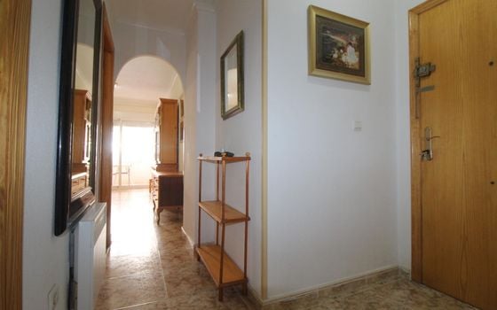 Appartement de 2 chambres à Torrevieja - ALM136294 - Photo - Small - 20