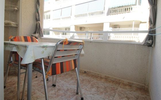Appartement de 2 chambres à Torrevieja - ALM136294 - Photo - Small - 21