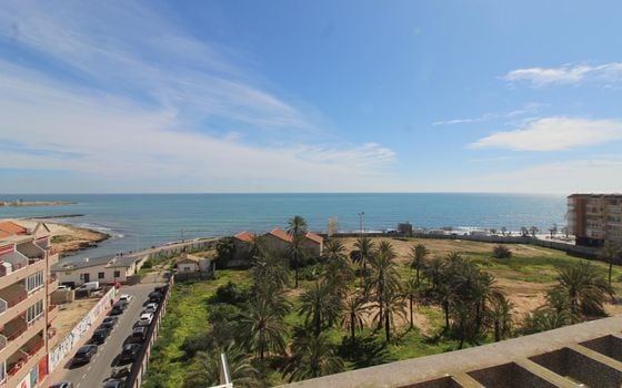 Appartement de 2 chambres à Torrevieja - ALM136294 - Photo - Small - 25