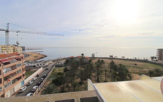 Appartement de 2 chambres à Torrevieja - ALM136294 - Photo - Small - 26