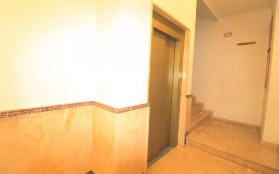 Appartement de 2 chambres à Torrevieja - ALM136294 - Photo - Small - 27