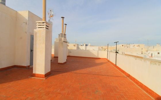 Appartement de 2 chambres à Torrevieja - ALM136294 - Photo - Small - 31