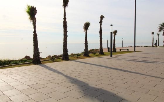 Appartement de 2 chambres à Torrevieja - ALM136294 - Photo - Small - 33