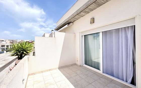 Villa de 3 chambres à Torrevieja - ERV136538 - Photo - Small - 19