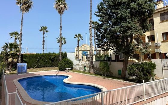 2 bedroom Apartment in Torrevieja - SV136567 - Photo - Small - 21