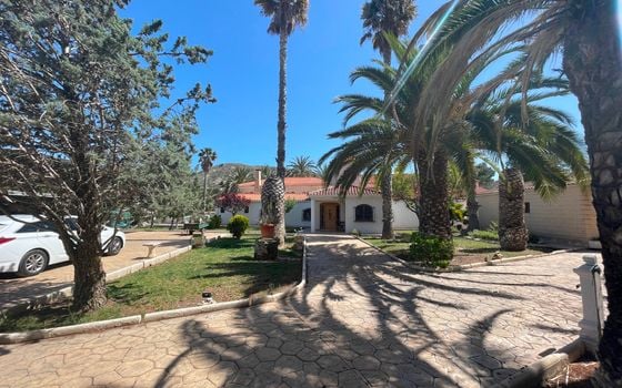 13 bedroom Villa in Elda - SLN136608 - Photo - Small - 39