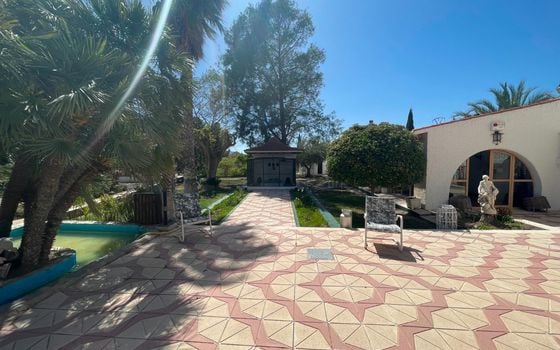 13 bedroom Villa in Elda - SLN136608 - Photo - Small - 36