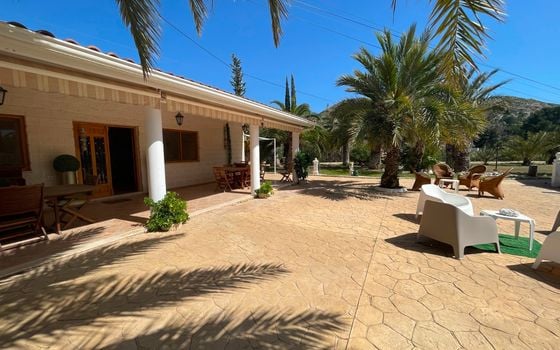 13 bedroom Villa in Elda - SLN136608 - Photo - Small - 8