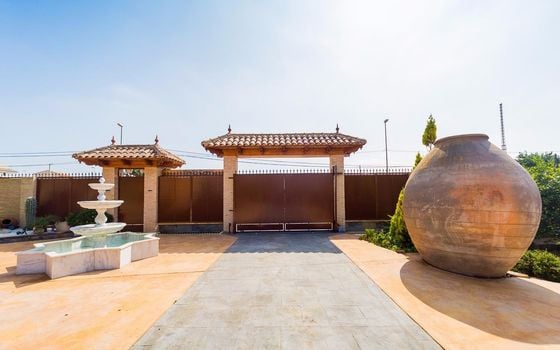 Villa de 5 chambres à Almoradí - SLN136609 - Photo - Small - 38