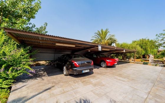 Villa de 5 chambres à Almoradí - SLN136609 - Photo - Small - 40