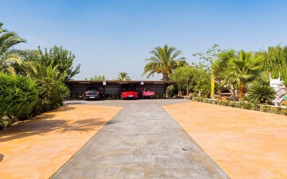 Villa de 5 chambres à Almoradí - SLN136609 - Photo - Small - 39