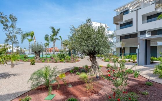 Appartement de 2 chambres à Santa Rosalia - CBW136644 - Photo - Small - 34