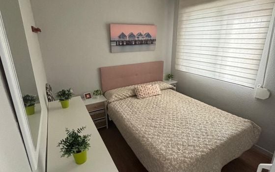 1 bedroom Bungalow in Torrevieja - CT136649 - Photo - 5