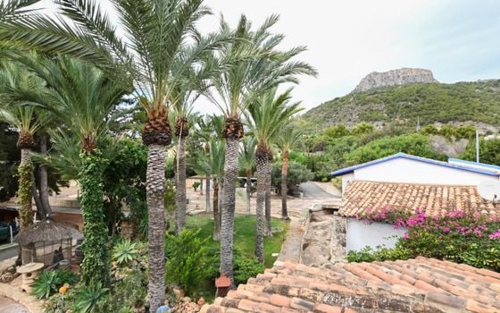 4 bedroom Plot in Calpe - ESP136739 - Photo - Small - 34