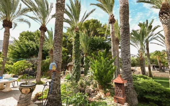 4 bedroom Plot in Calpe - ESP136739 - Photo - Small - 36