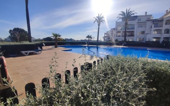 2 bedroom Apartment in Sucina - PSP136949 - Photo - Small - 23