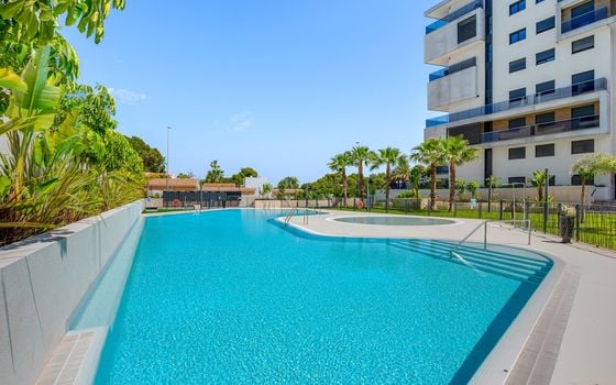 3 bedroom Apartment in Dehesa de Campoamor - CBW137069 - Photo - Small - 40