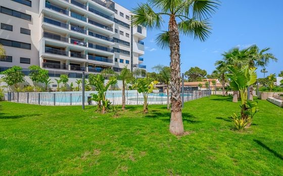 3 bedroom Apartment in Dehesa de Campoamor - CBW137069 - Photo - Small - 41