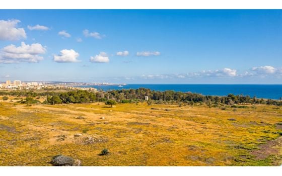 2 bedroom Penthouse in Punta Prima - CBE137122 - Photo - Small - 20