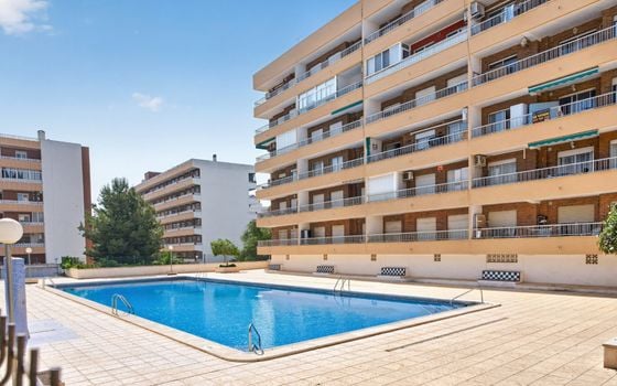 Penthouse de 2 chambres à Orihuela Costa - CBE137122 - Photo - 1