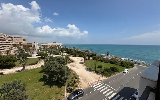 1 bedroom Apartment in Torrevieja - NSP137147 - Photo - Small - 11