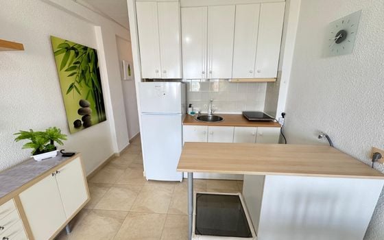 1 bedroom Apartment in Torrevieja - NSP137147 - Photo - Small - 6