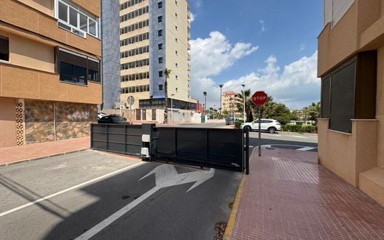 1 bedroom Apartment in Torrevieja - NSP137147 - Photo - Small - 17