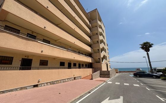 1 bedroom Apartment in Torrevieja - NSP137147 - Photo - Small - 13