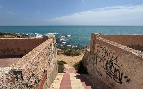 1 bedroom Apartment in Torrevieja - NSP137147 - Photo - Small - 18