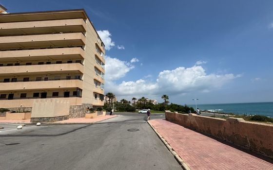 1 bedroom Apartment in Torrevieja - NSP137147 - Photo - Small - 14