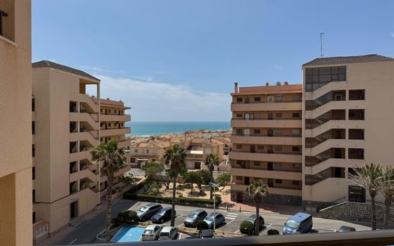 1 bedroom Apartment in Torrevieja - NSP137147 - Photo - Small - 15