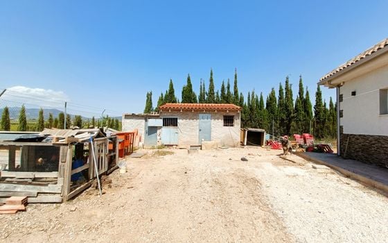 Villa de 4 chambres à Pinoso - CNM137257 - Photo - Small - 28