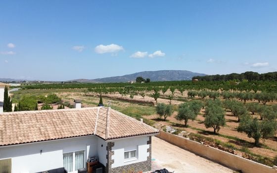 Villa de 4 chambres à Pinoso - CNM137257 - Photo - Small - 32