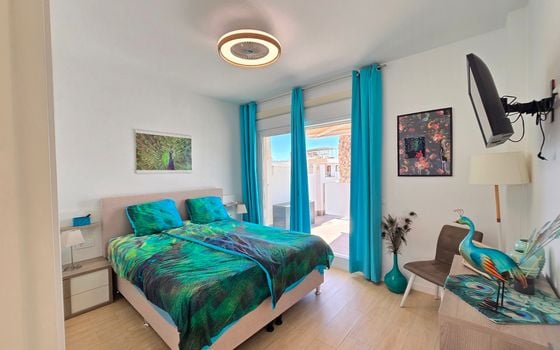 3 bedroom Villa in Pilar de la Horadada - DSR137320 - Photo - Small - 18