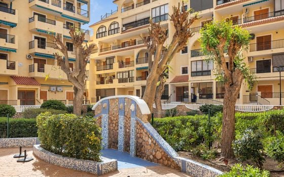 1 bedroom Apartment in La Mata - GVS137357 - Photo - Small - 19