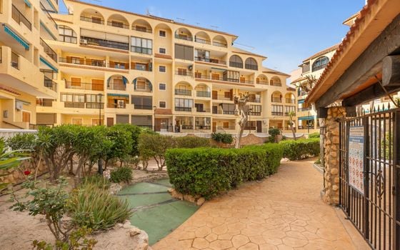 1 bedroom Apartment in La Mata - GVS137357 - Photo - Small - 21