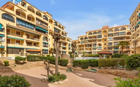 1 bedroom Apartment in La Mata - GVS137357 - Photo - Small - 20