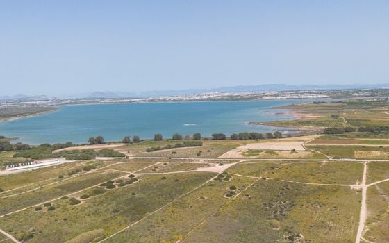 1 bedroom Apartment in La Mata - GVS137357 - Photo - Small - 26