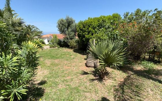 Villa de 3 chambres à Denia - EGH137364 - Photo - Small - 21
