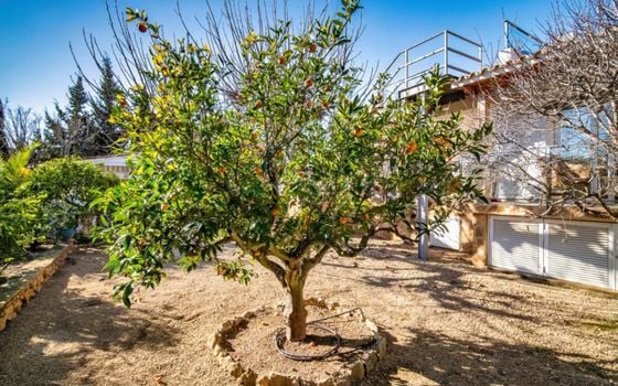 Villa de 4 chambres à Alfaz del Pi - DJP137372 - Photo - Small - 37