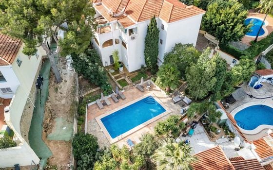 Villa de 6 chambres à Alfaz del Pi - DJP137374 - Photo - Small - 43