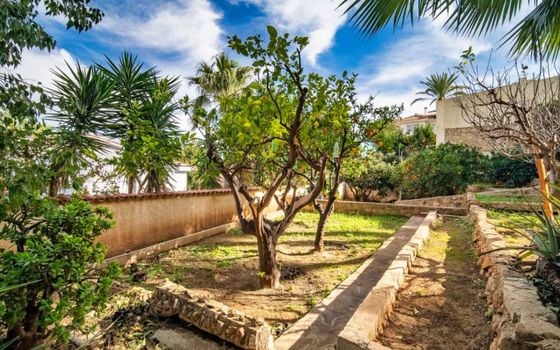 Villa de 6 chambres à Alfaz del Pi - DJP137374 - Photo - Small - 40