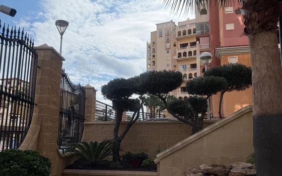 Penthouse de 4 chambres à Torrevieja - TT137485 - Photo - Small - 28