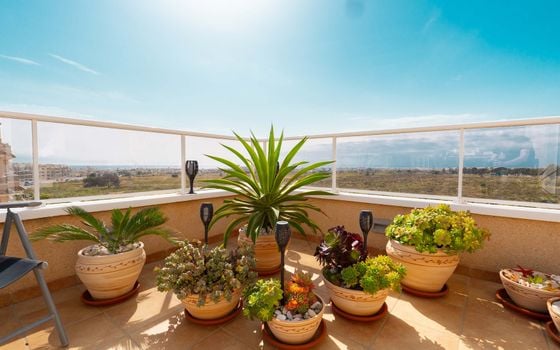 Apartmán   v Villamartin, 3 ložnice - FU137509 - Foto - Small - 28