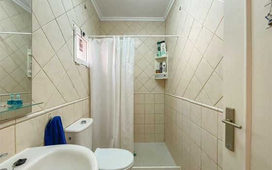 2 bedroom Bungalow in Torrevieja - ALM137649 - Photo - Small - 13