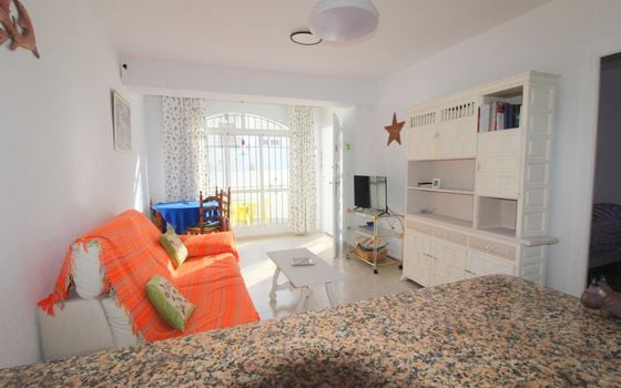 2 bedroom Bungalow in Torrevieja - ALM137649 - Photo - 4