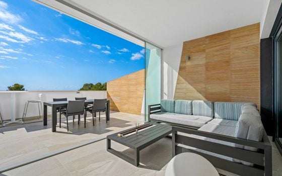 2 bedroom Apartment in Villamartin - PLM137902 - Photo - Small - 22