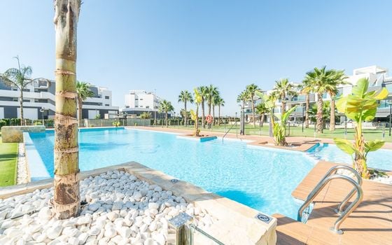 2 bedroom Penthouse in Guardamar del Segura - IMO138046 - Photo - Small - 36