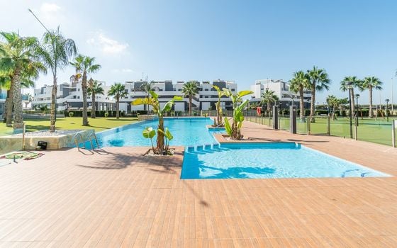 2 bedroom Penthouse in Guardamar del Segura - IMO138046 - Photo - Small - 37