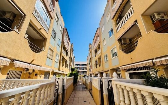 2 bedroom Apartment in La Mata - JLM138056 - Photo - Small - 13